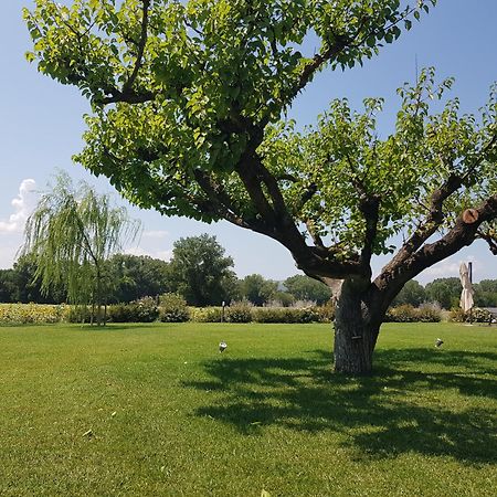 Agriturismo Villa Al Piano Тоді Екстер'єр фото