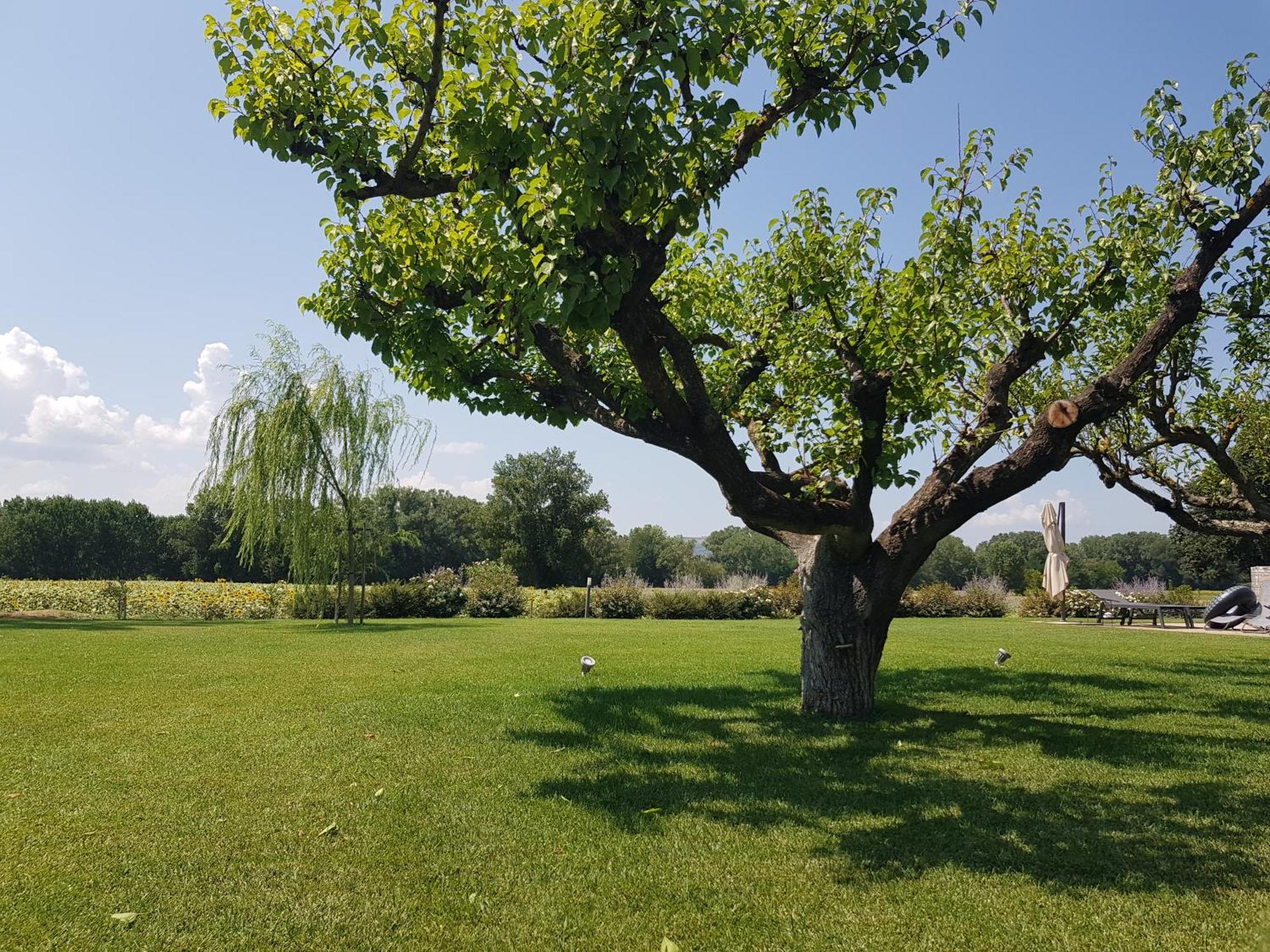 Agriturismo Villa Al Piano Тоді Екстер'єр фото