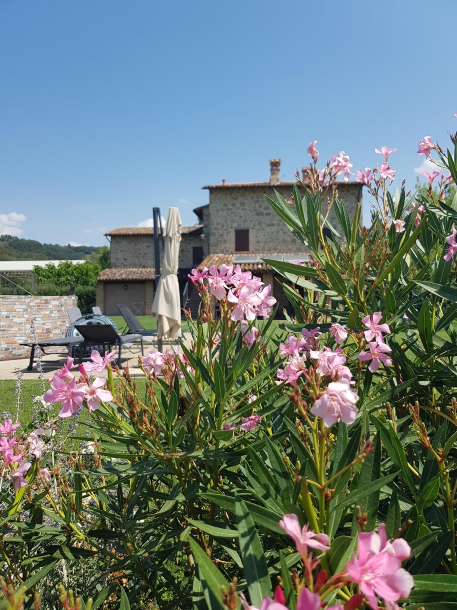 Agriturismo Villa Al Piano Тоді Екстер'єр фото