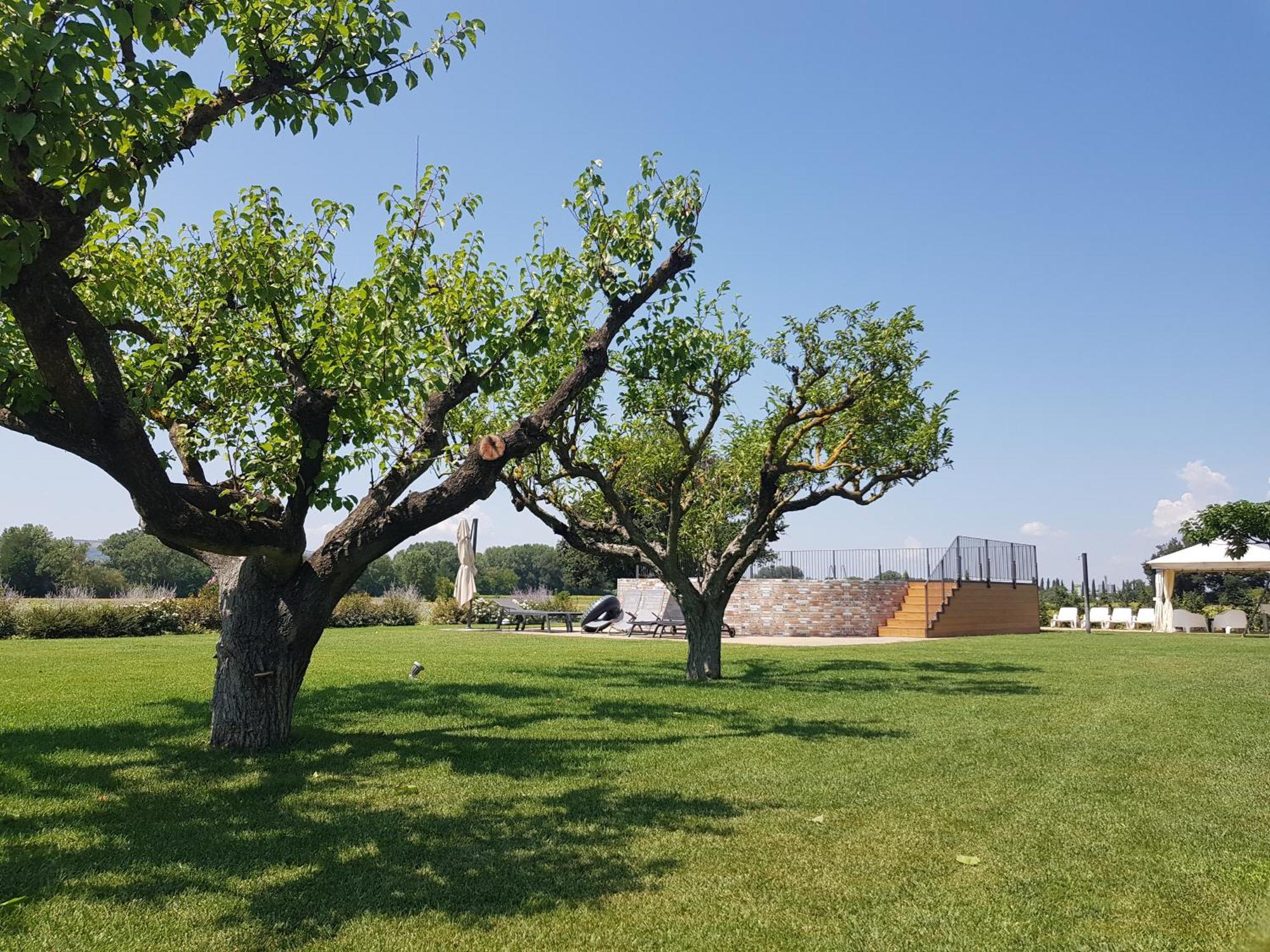 Agriturismo Villa Al Piano Тоді Екстер'єр фото