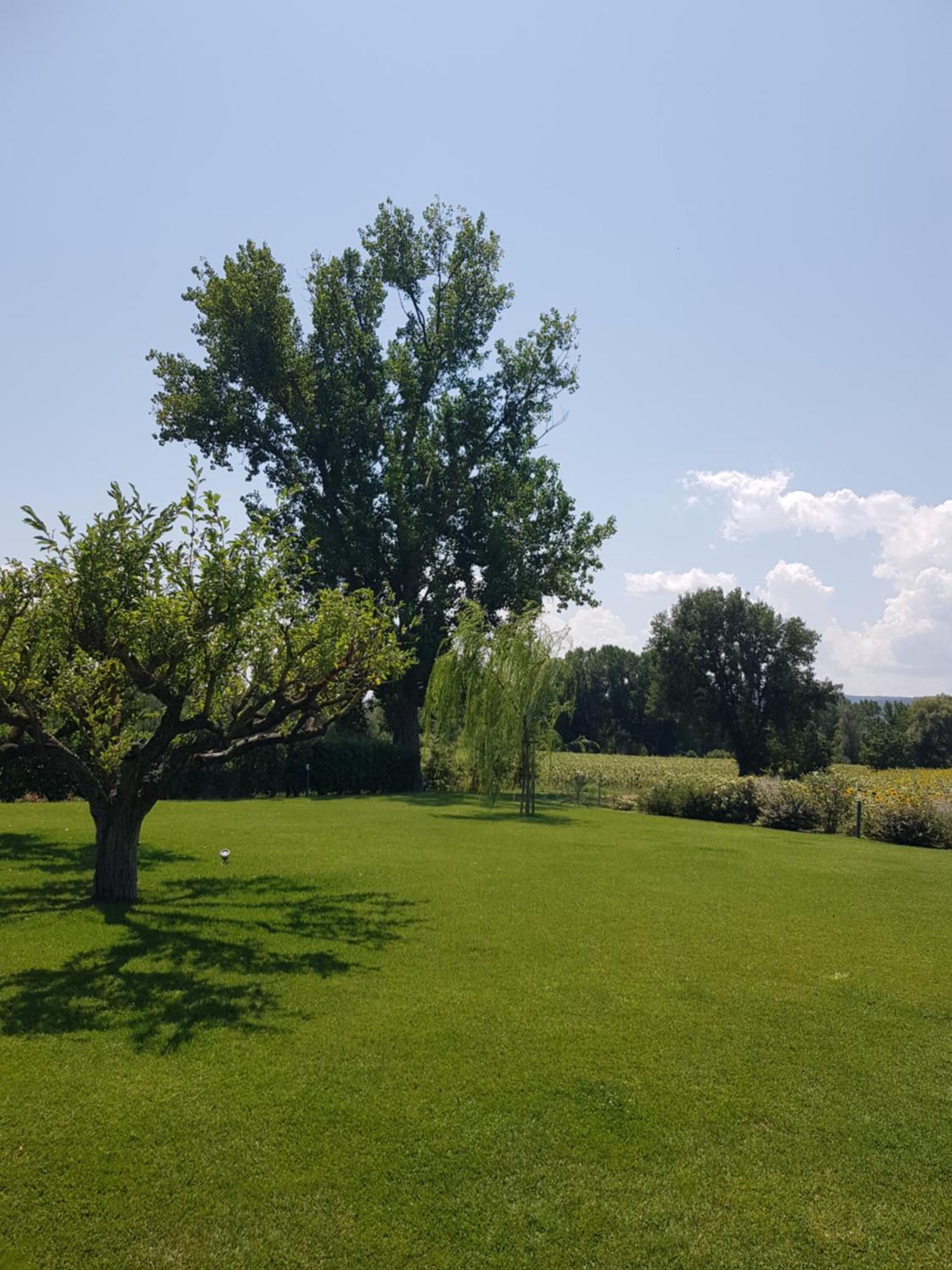 Agriturismo Villa Al Piano Тоді Екстер'єр фото