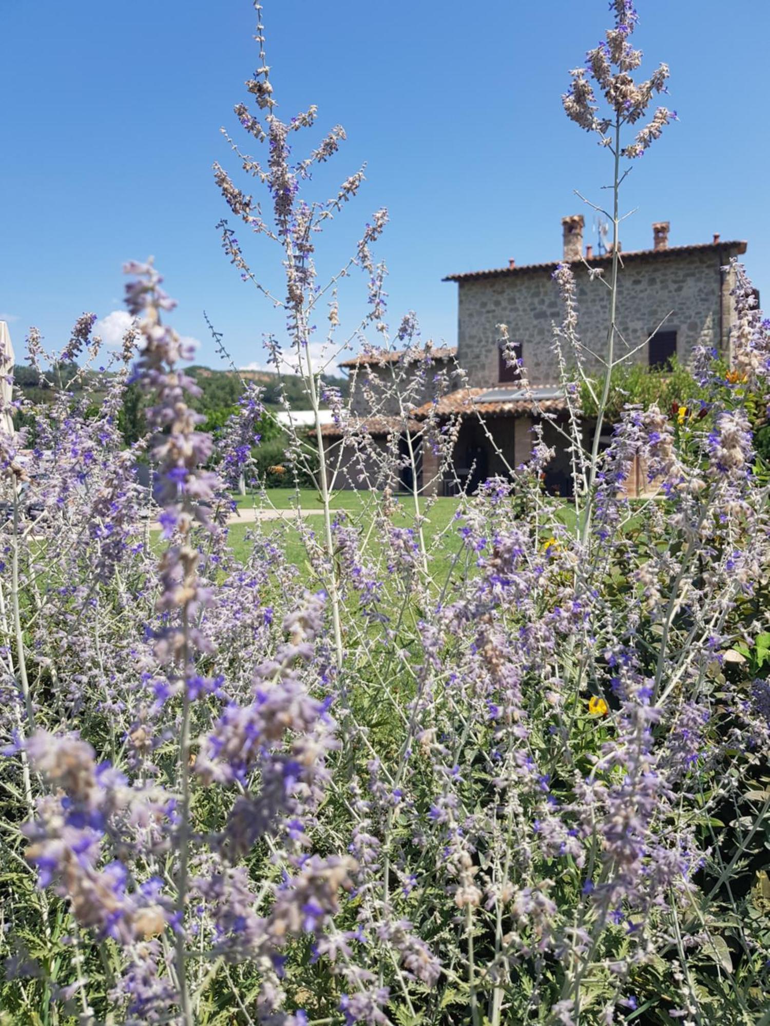 Agriturismo Villa Al Piano Тоді Екстер'єр фото